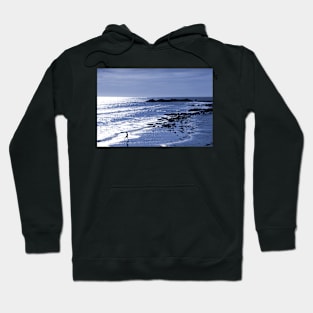 The Last Dip of the Day Hoodie